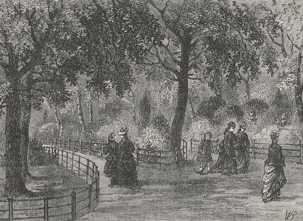 LONDON. Kensington Gdns. flower walks  1880 old antique vintage print picture